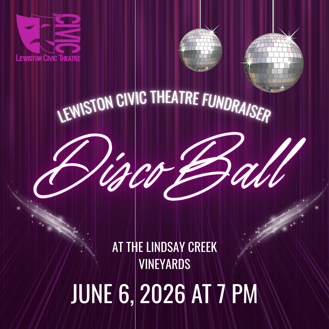 Copy of Mamma Mia Disco Ball Fundraiser